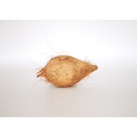 pani nariwal-  पानी नरिवल